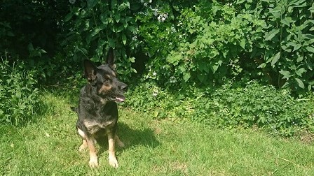 Dieter - Warwickshire